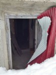 Ayılar kış uykusundan uyandı!
