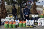 Gümüşhane çiftçisine 68 tonluk tarihi tohum desteği