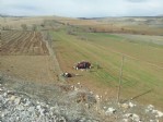 Cenaze yolunda can verdi