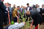 15 Temmuz Şehitleri anısına hatıra ormanı
