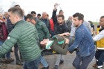 Niksar'da can pazarı