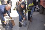 Sinop’ta ücretsiz fidan dağıtıldı