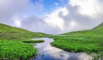 Yüzen adalar Karadeniz'e renk katıyor
