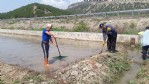 Çeltik ekimi hazırlıkları başladı