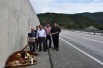 D-100 karayoluna inek düştü!