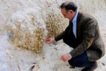 Avrupa'nın Yellowstone'u Giresun Kuzalan'da
