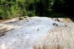 Avrupa'nın Yellowstone'u Giresun Kuzalan'da
