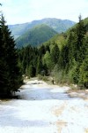 Avrupa'nın Yellowstone'u Giresun Kuzalan'da