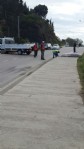 Sinop’ta yunuslar sahile vurdu