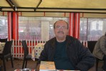 Sinop’ta yunuslar sahile vurdu