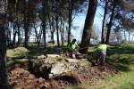 Ordu’da eski Osmanlı mezarları restore edilecek