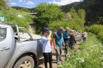 Artvin’de ayıların envanteri çıkartıldı