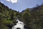 Tarihi değirmenler zamana direniyor
