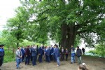 600 yıldır şifa dağıtıyor