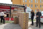 Çiftçilere tohum ve fide desteği