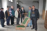 Çiftçilere tohum ve fide desteği