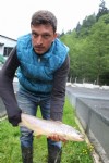 Derelerinin alabalığı Trabzon’dan