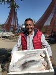 Karadeniz somonu, Norveç somonuna rakip