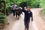 Boğalar Şampiyonlar Ligi için kampa girdi