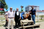 Otizmli çocuklar ‘At terapisi’ ile hayata tutunuyor