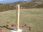 Ordu yaylalarına 24 adet kaşınma kazığı