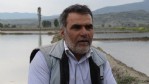 Beyaz altının tarladan sofralara yolculuğu