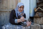 Annesiz kalan yavruları şırınga ile besliyor