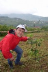 Fındık bahçelerinde devrim