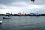 Orta su trol balık avcılığı yasaklansın!