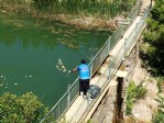 Sokak hayvanları unutulmadı