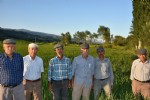 Çeltik üreticileri perişan durumda