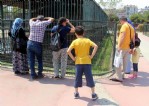 Onlar da sıcaktan bunaldı!