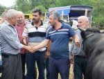 Kurbanlıklar fındığa takıldı