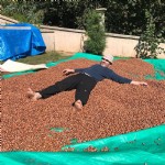 Üretici fındıkla yatıyor, fındıkla kalkıyor