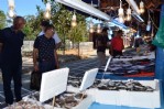 Balık sezonu açıldı tezgahlar şenlendi
