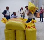 TMO, Ordu’da fındık alımlarına başladı