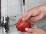 Sevze ve meyve nasıl yıkanmalı