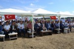 Alaçam’da çeltik hasat günü