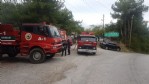 Amasra’da orman yangını