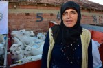 Vezirköprü’de 10 çiftçiye 220 keçi dağıtıldı