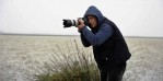 Foto safariye büyük ilgi