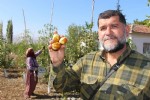 Rüyasındaki meyveden 250 ton üretti