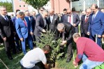 Bakan Demircan çam fidanı dikti