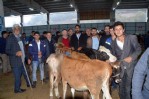 İthal et üreticiyi zorda bıraktı