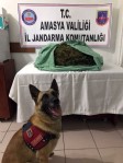 9 kiloluk uyuşturucu bohçasını ‘Atak’ yakalattı