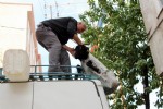 Keçileri kaçırtan yolculuk