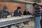 Taşköprü sarımsağında fiyat tartışması