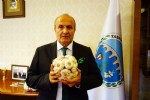 Taşköprü sarımsağında fiyat tartışması