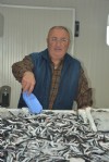 Karadeniz’de hamsi bereketi