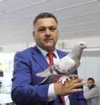 Güvercinlerin güzellik yarışı...